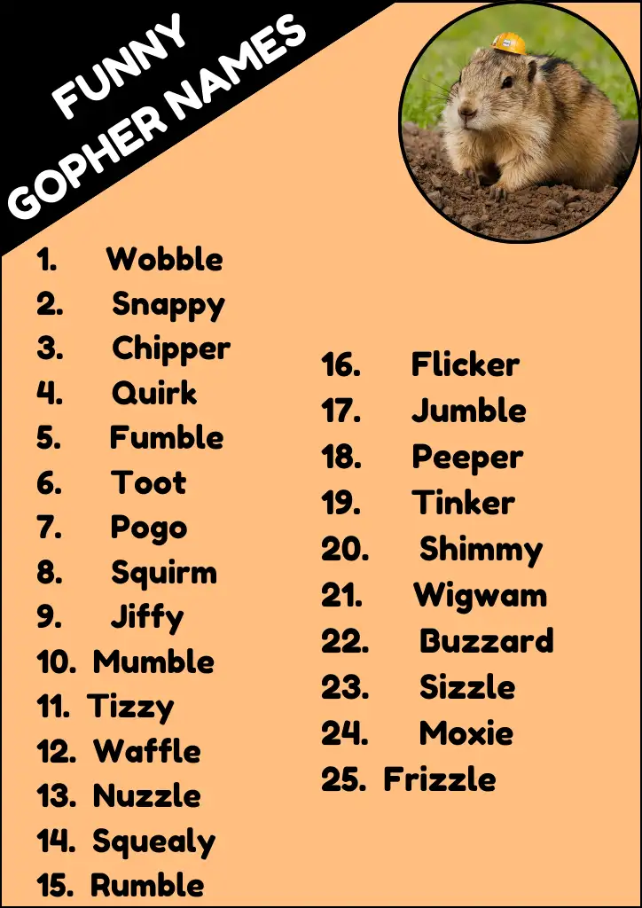 Funny Gopher Names Infographic