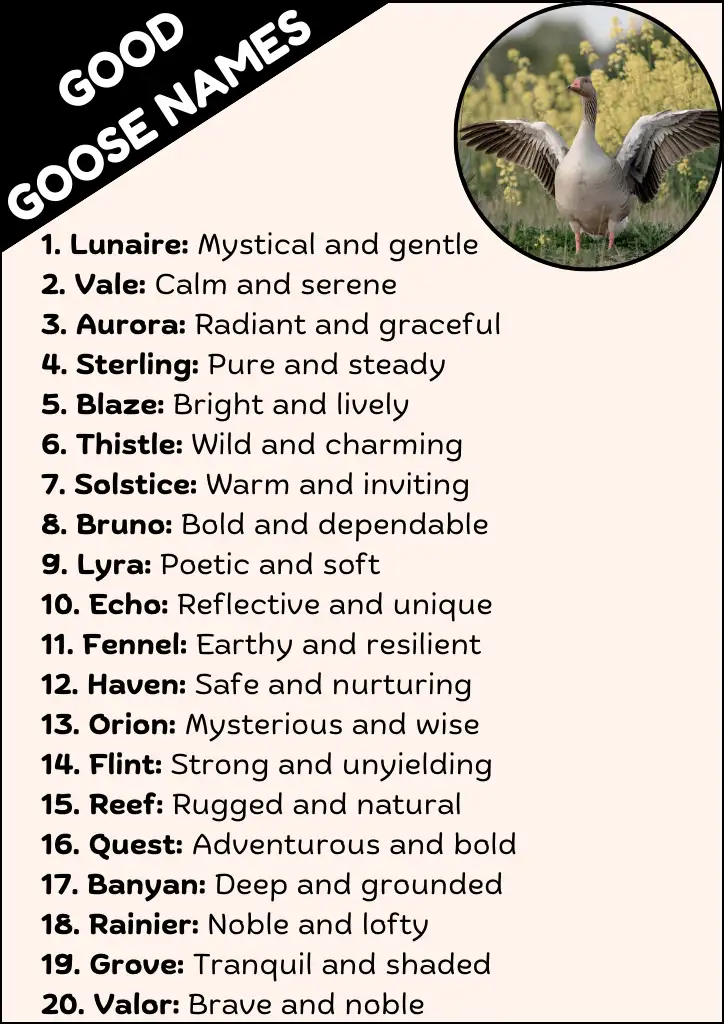 Good Goose Names Infographic