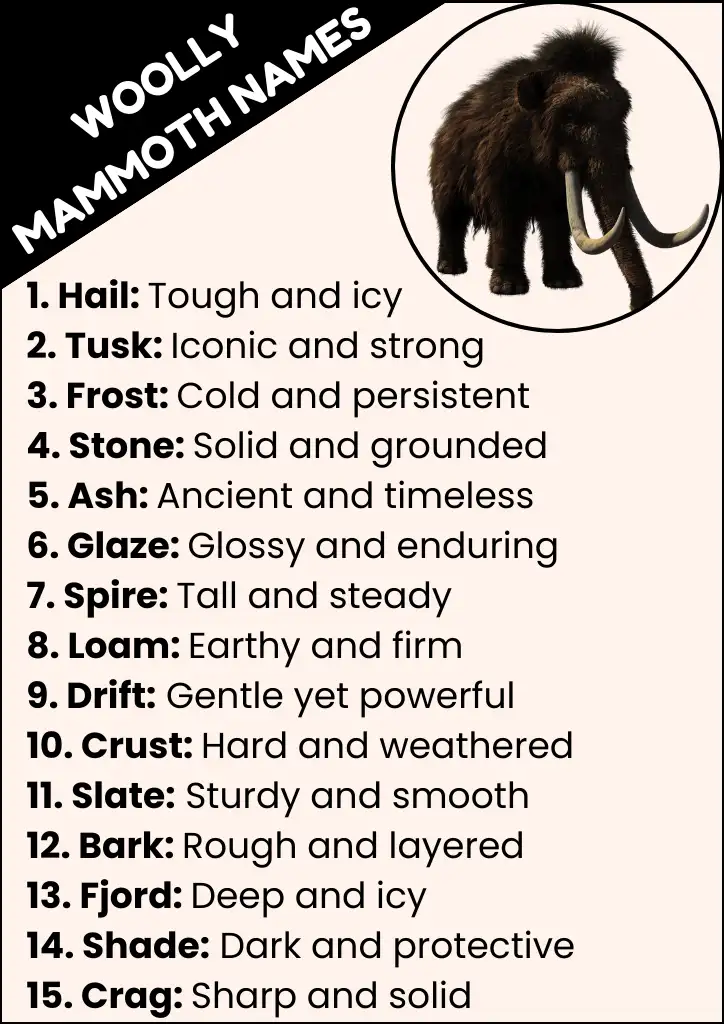 Woolly Mammoth Names Infographic
