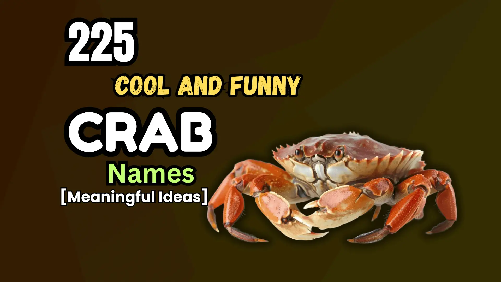 225 Cool and Funny Crab Names [Meaningful Ideas]