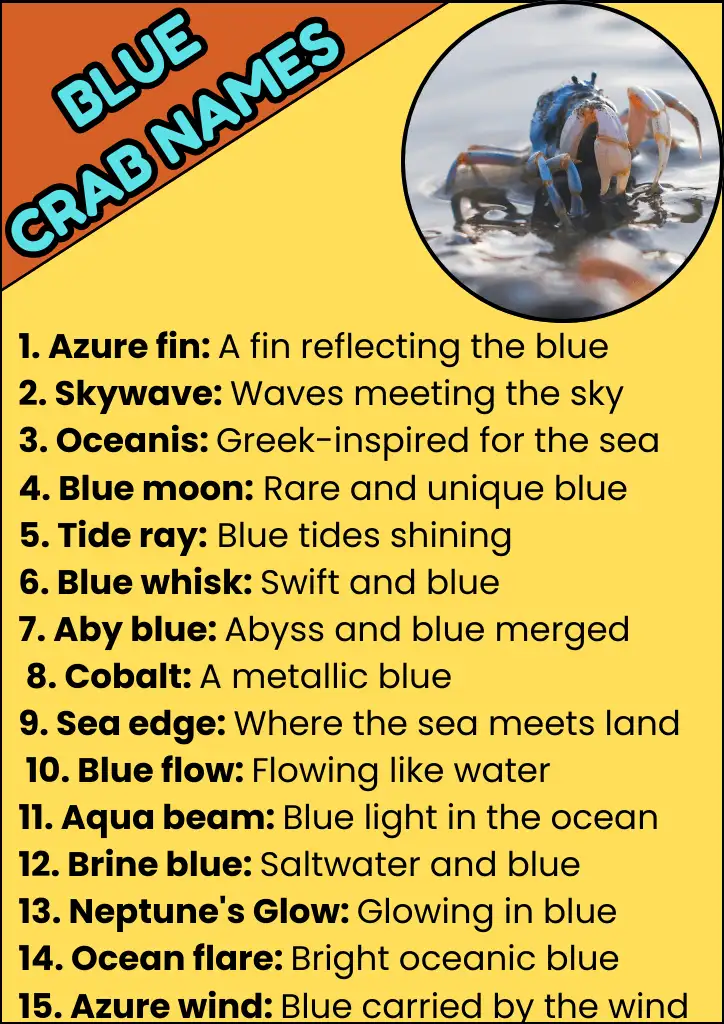 Blue Crab Names Infographic